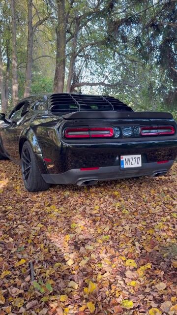 Dodge Challenger, 6.4 l., hatchback